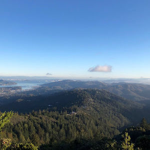 Meet your Posher, Ian